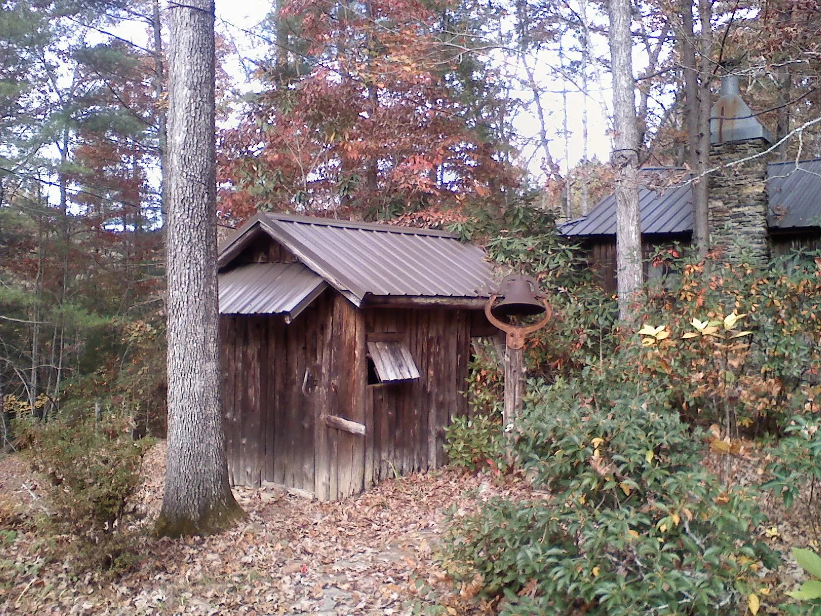 Small metal roof on a rough sawn shed in the woods in South Lancaster